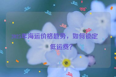 2025年海運價格趨勢，如何鎖定最低運費？