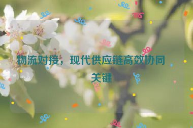 物流對(duì)接，現(xiàn)代供應(yīng)鏈高效協(xié)同的關(guān)鍵