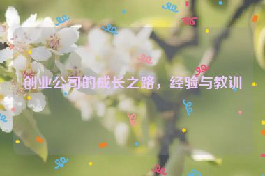 創(chuàng)業(yè)公司的成長(zhǎng)之路，經(jīng)驗(yàn)與教訓(xùn)