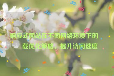 響應式網(wǎng)站在不同網(wǎng)絡環(huán)境下的加載優(yōu)化策略，提升訪問速度