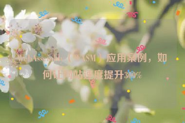 WebAssembly（WASM）應(yīng)用案例，如何讓網(wǎng)站速度提升300%
