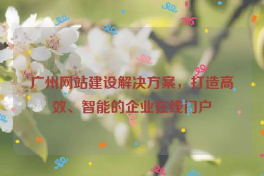 廣州網(wǎng)站建設解決方案，打造高效、智能的企業(yè)在線門戶