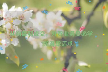 從詢盤到成交，外貿(mào)業(yè)務(wù)員必學的7階逼單話術(shù)