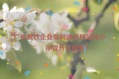 廣州餐飲企業(yè)如何通過網(wǎng)站和小程序提升訂單量？