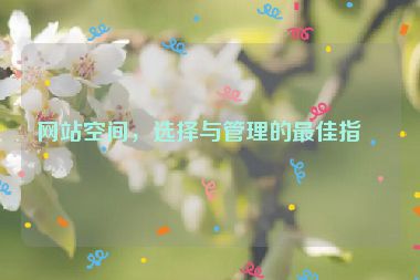 網(wǎng)站空間，選擇與管理的最佳指南