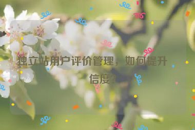獨立站用戶評價管理，如何提升可信度？
