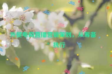 外貿(mào)電商直播營(yíng)銷策劃，從籌備到執(zhí)行