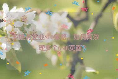 多地點企業(yè)SEO策略，如何高效管理多個GMB頁面？