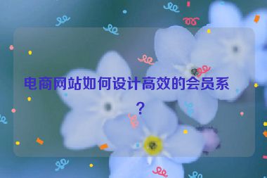 電商網(wǎng)站如何設(shè)計(jì)高效的會(huì)員系統(tǒng)？