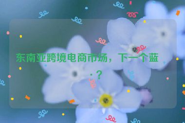 東南亞跨境電商市場，下一個藍海？
