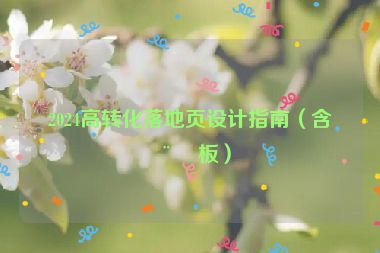 2024高轉(zhuǎn)化落地頁設(shè)計指南（含模板）