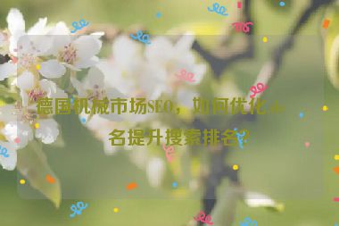 德國機械市場SEO，如何優(yōu)化.de域名提升搜索排名？