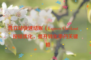 獨(dú)立站快速結(jié)賬（Express Checkout）按鈕優(yōu)化，提升轉(zhuǎn)化率的關(guān)鍵策略