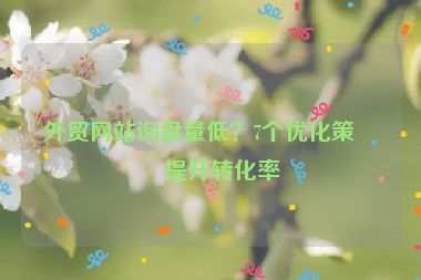 外貿(mào)網(wǎng)站詢盤量低？7個(gè)優(yōu)化策略提升轉(zhuǎn)化率