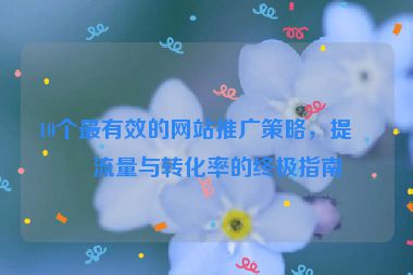 10個(gè)最有效的網(wǎng)站推廣策略，提升流量與轉(zhuǎn)化率的終極指南