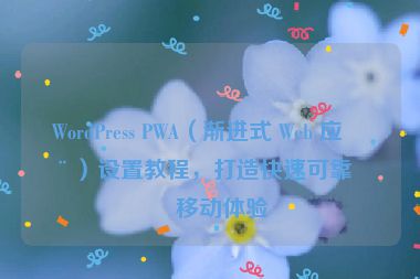 WordPress PWA（漸進式 Web 應(yīng)用）設(shè)置教程，打造快速可靠的移動體驗