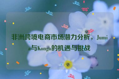 非洲跨境電商市場潛力分析，Jumia與Konga的機遇與挑戰(zhàn)