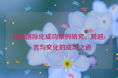 網(wǎng)站國際化成功案例研究，跨越語言與文化的成功之道