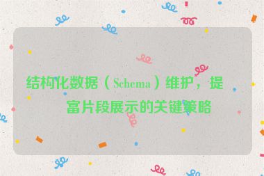 結(jié)構(gòu)化數(shù)據(jù)（Schema）維護(hù)，提升富片段展示的關(guān)鍵策略