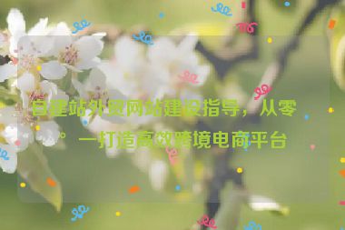 自建站外貿(mào)網(wǎng)站建設(shè)指導(dǎo)，從零到一打造高效跨境電商平臺