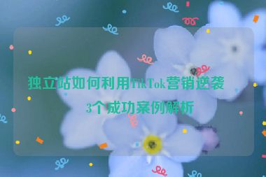 獨(dú)立站如何利用TikTok營銷逆襲？3個(gè)成功案例解析