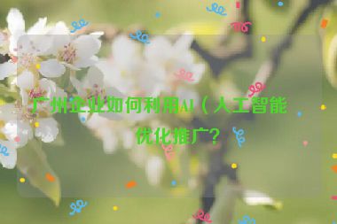 廣州企業(yè)如何利用AI（人工智能）優(yōu)化推廣？