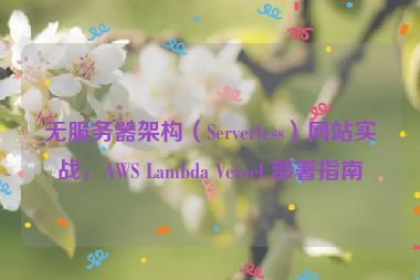 無(wú)服務(wù)器架構(gòu)（Serverless）網(wǎng)站實(shí)戰(zhàn)，AWS Lambda Vercel 部署指南