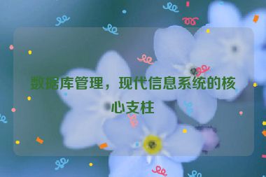 數(shù)據(jù)庫(kù)管理，現(xiàn)代信息系統(tǒng)的核心支柱