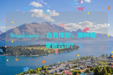 Dropshipping vs 自有庫存，哪種模式更適合你？