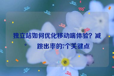 獨(dú)立站如何優(yōu)化移動(dòng)端體驗(yàn)？減少跳出率的7個(gè)關(guān)鍵點(diǎn)