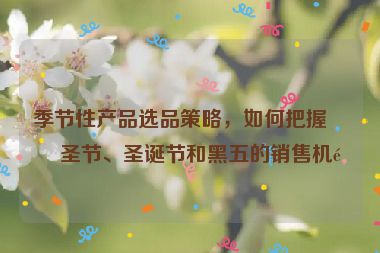 季節(jié)性產(chǎn)品選品策略，如何把握萬(wàn)圣節(jié)、圣誕節(jié)和黑五的銷售機(jī)遇