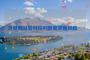 外貿(mào)網(wǎng)站如何應(yīng)對(duì)數(shù)據(jù)泄露風(fēng)險(xiǎn)？