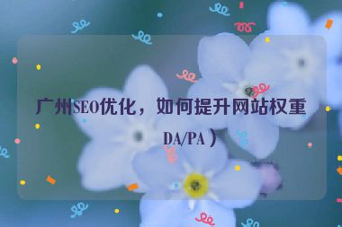 廣州SEO優(yōu)化，如何提升網(wǎng)站權(quán)重（DA/PA）