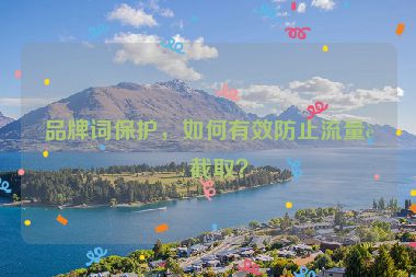 品牌詞保護(hù)，如何有效防止流量被截取？