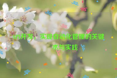 API開(kāi)發(fā)，實(shí)現(xiàn)自動(dòng)化管理的關(guān)鍵技術(shù)與實(shí)踐