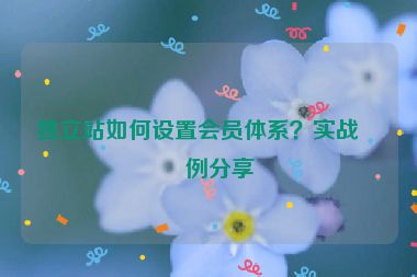 獨(dú)立站如何設(shè)置會(huì)員體系？實(shí)戰(zhàn)案例分享