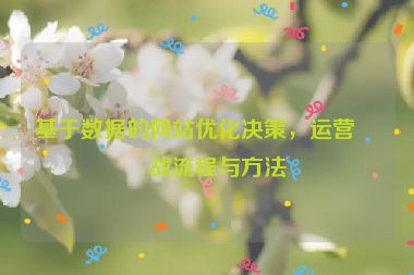 基于數(shù)據(jù)的網(wǎng)站優(yōu)化決策，運(yùn)營實(shí)戰(zhàn)流程與方法