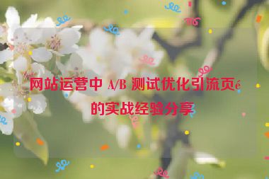 網(wǎng)站運(yùn)營中 A/B 測試優(yōu)化引流頁面的實(shí)戰(zhàn)經(jīng)驗(yàn)分享