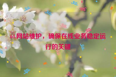 64.網(wǎng)站維護，確保在線業(yè)務(wù)穩(wěn)定運行的關(guān)鍵