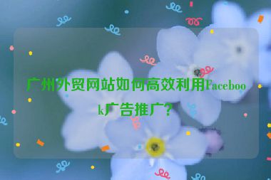 廣州外貿(mào)網(wǎng)站如何高效利用Facebook廣告推廣？