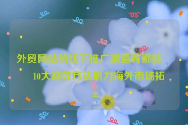 外貿(mào)網(wǎng)站的線下推廣渠道有哪些？10大高效方法助力海外市場(chǎng)拓展