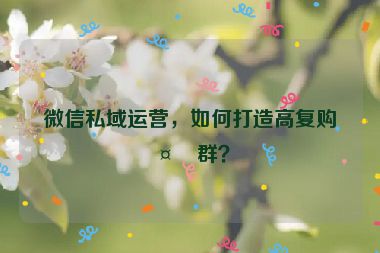微信私域運(yùn)營(yíng)，如何打造高復(fù)購(gòu)社群？