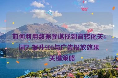 如何利用數(shù)據(jù)參謀找到高轉(zhuǎn)化關(guān)鍵詞？提升SEO與廣告投放效果的關(guān)鍵策略