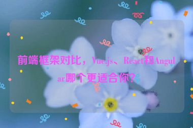 前端框架對(duì)比，Vue.js、React和Angular哪個(gè)更適合你？