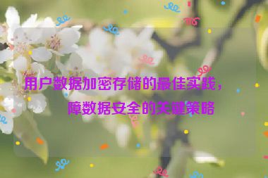 用戶數(shù)據(jù)加密存儲(chǔ)的最佳實(shí)踐，保障數(shù)據(jù)安全的關(guān)鍵策略