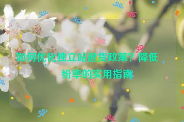 如何優(yōu)化獨立站退貨政策？降低糾紛率的實用指南