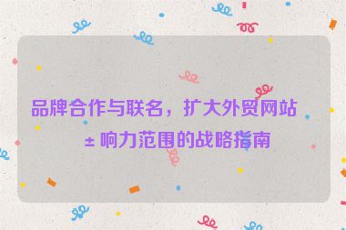 品牌合作與聯(lián)名，擴大外貿(mào)網(wǎng)站影響力范圍的戰(zhàn)略指南