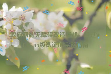 政府網(wǎng)站無障礙改造實(shí)戰(zhàn)，通過WCAG AA級認(rèn)證的完整指南