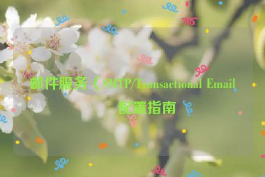 郵件服務（SMTP/Transactional Email）配置指南
