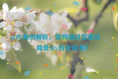 oCPC案例解析，如何通過智能優(yōu)化降低30%轉(zhuǎn)化成本？